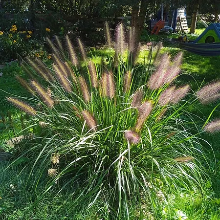 別荘 Letni Konopka *