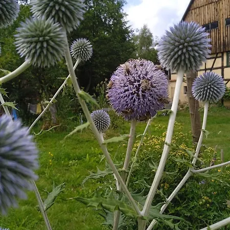 別荘 Letni Konopka Jeżów Sudecki