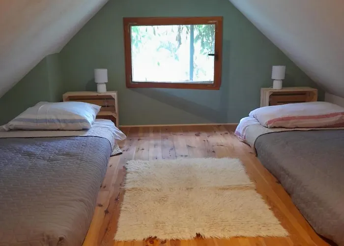 Letni Konopka Jeżów Sudecki