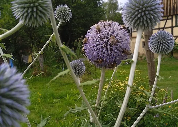 別荘 Letni Konopka Jeżów Sudecki