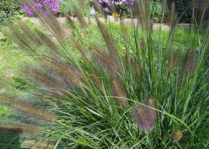 Letni Konopka 別荘